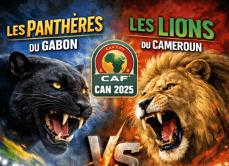 Les panthères face aux lions